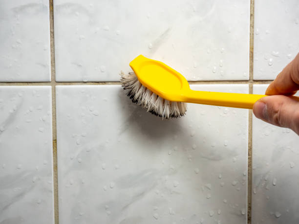 Best Mold Remediation for Schools in Lincolndale, NY